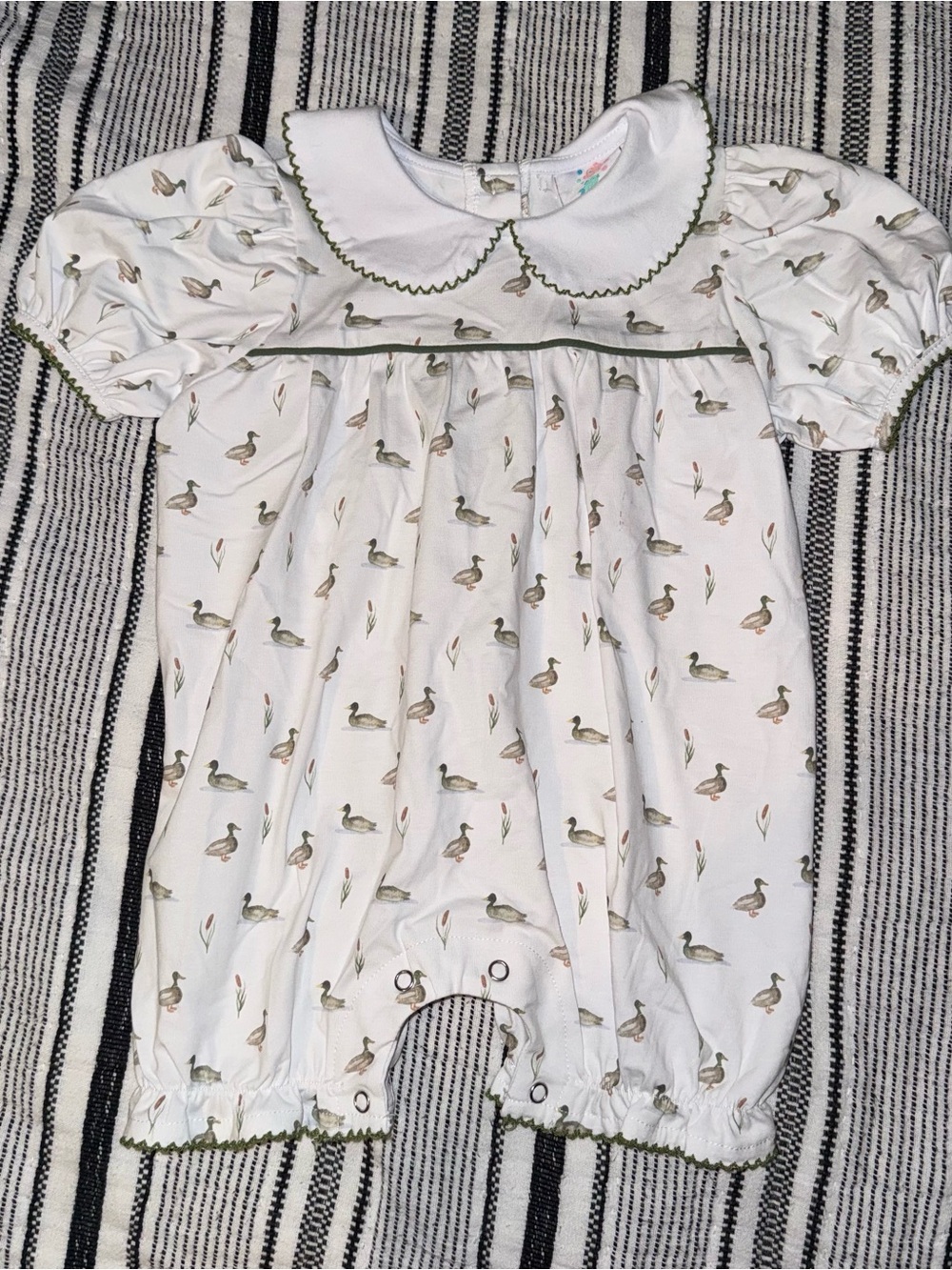 Stitchy Fish Migrating Mallard Bubble 12 months Ducks